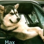 MaxL1