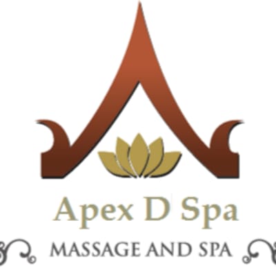 apexdspa2019
